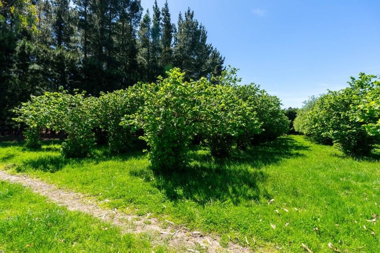 Photo of property in 438 Two Chain Road, Burnham, Christchurch, 7677