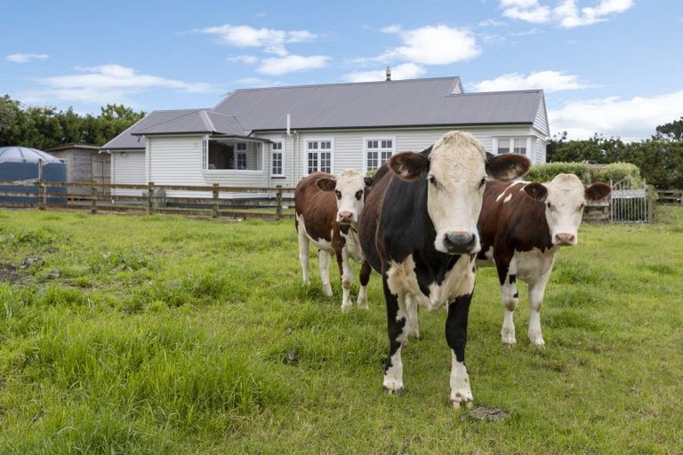 Photo of property in 387 Smart Road, Hillsborough, New Plymouth, 4372