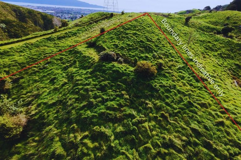 Photo of property in 117 Nikau Palm Road, Nikau Valley, Paraparaumu, 5032