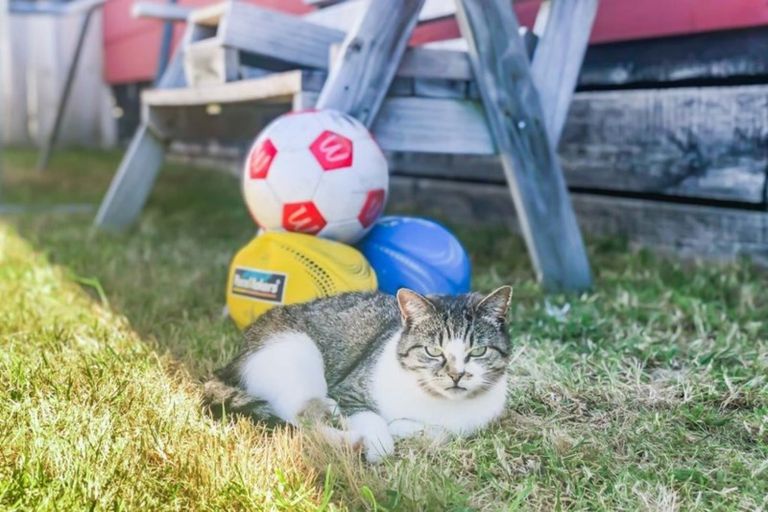 Photo of property in 96 Queens Road, Waikanae Beach, Waikanae, 5036