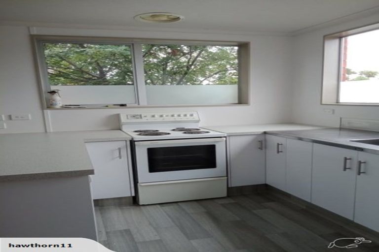 Photo of property in 20d Oxford Street, South Dunedin, Dunedin, 9012