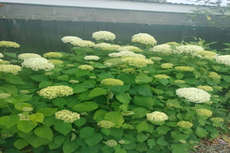 Photo of property in 108 East Belt, Lincoln, 7608