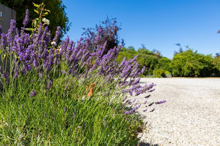 Photo of property in 11 Ewing Place, Albert Town, Wanaka, 9305