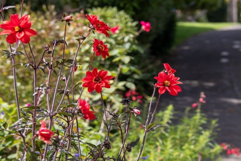 Photo of property in 52 Rayner Road, Huntly, 3700