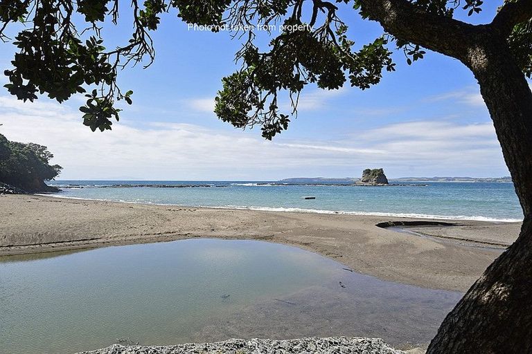 Photo of property in 8 Spray Crescent, Leigh, 0985