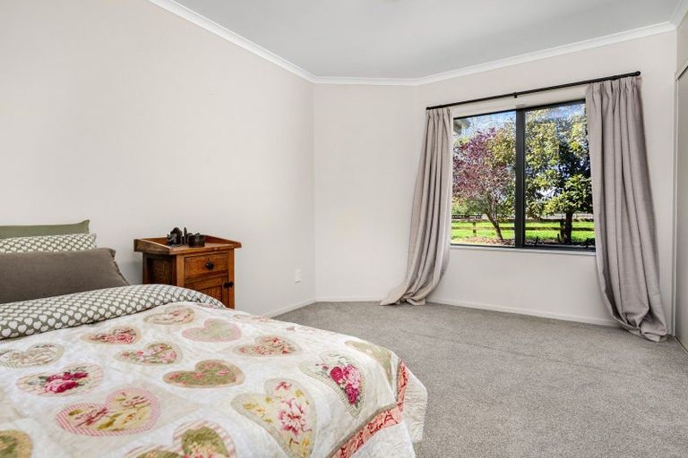 Photo of property in 446 Mystery Creek Road, Ohaupo, 3881