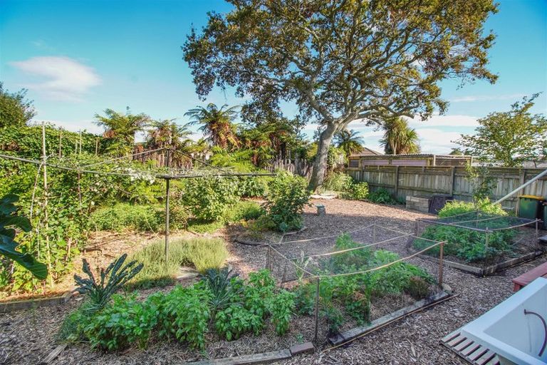 Photo of property in 6b Operiana Street, Ngongotaha, Rotorua, 3010