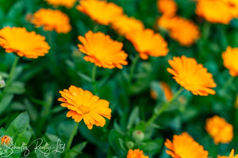 Photo of property in 70 Jellicoe Road, Ruawai, 0530