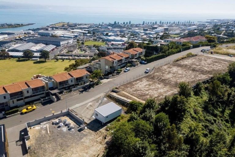 Photo of property in 19 Hospital Terrace, Hospital Hill, Napier, 4110