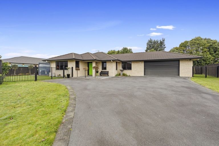 Photo of property in 50 Matipo Street, Matamata, 3400