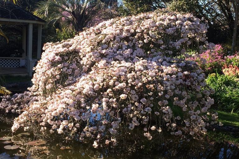 Photo of property in 125 Matangi Road, Matangi, Hamilton, 3284