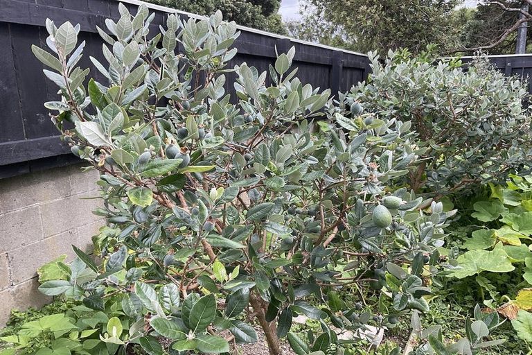 Photo of property in 74 Cambridge Terrace, Waterloo, Lower Hutt, 5011