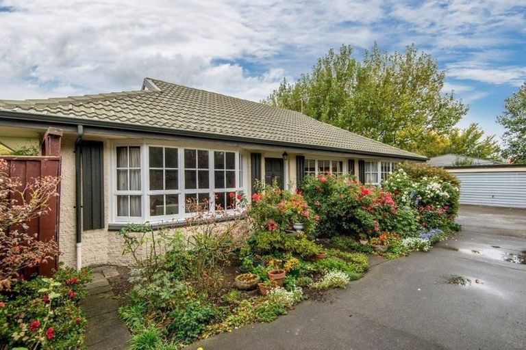 Photo of property in 1/29a Rata Street, Riccarton, Christchurch, 8041