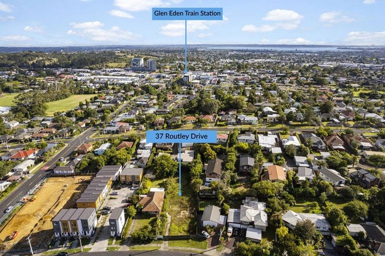 Photo of property in 37 Routley Drive, Glen Eden, Auckland, 0602