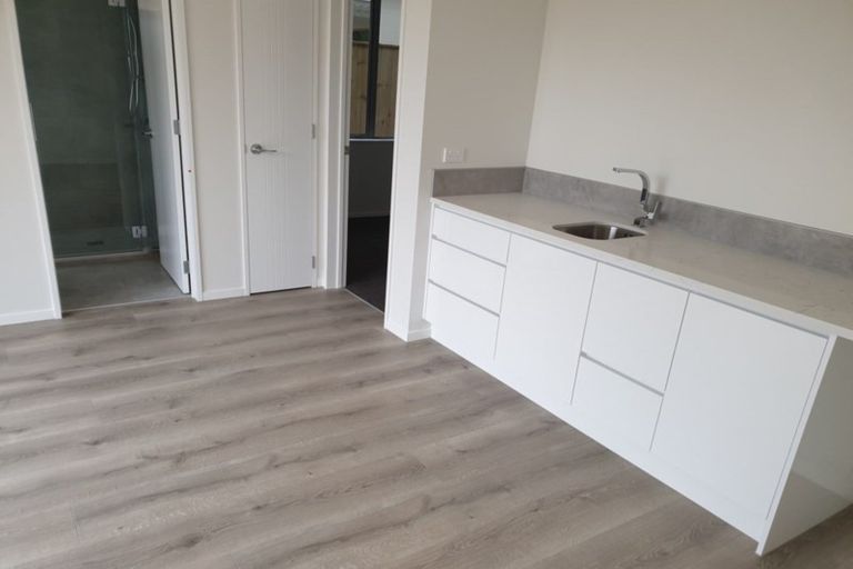Photo of property in 52 Timmer Road, Flat Bush, Auckland, 2019