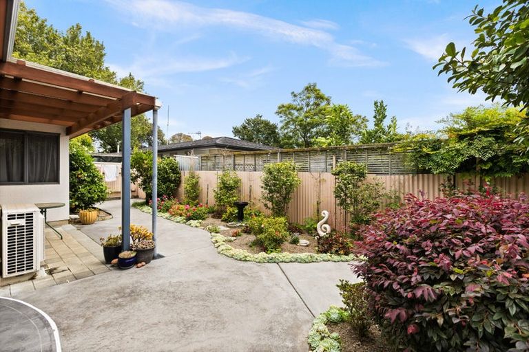 Photo of property in 199a Kennedy Road, Marewa, Napier, 4110