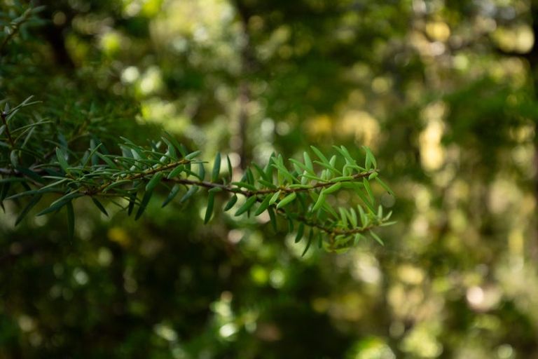 Photo of property in 101 Gowan Valley Road, Gowanbridge, Murchison, 7077