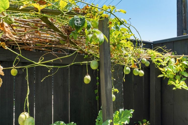 Photo of property in 47 Parris Street, Waitara, 4320