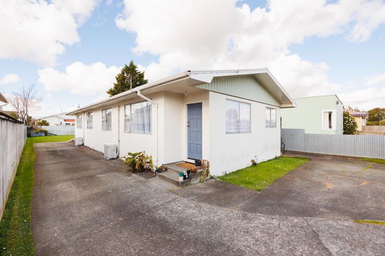 Photo of property in 101 Shamrock Street, Takaro, Palmerston North, 4412