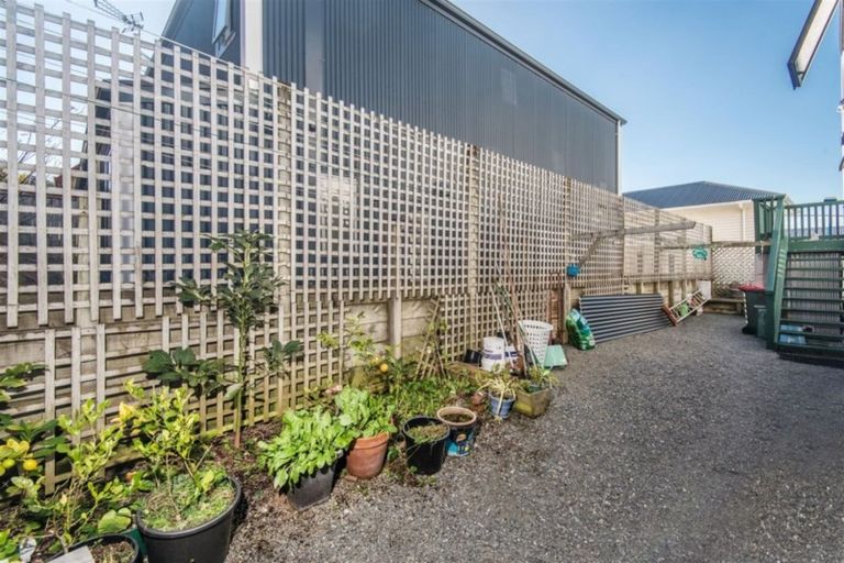 Photo of property in 10 Millward Street, Newtown, Wellington, 6021