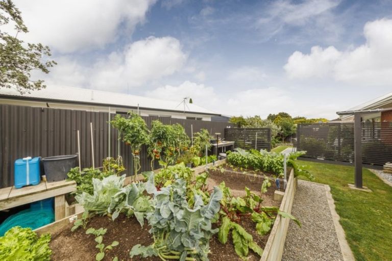 Photo of property in 14a Cecil Place, Cloverlea, Palmerston North, 4412