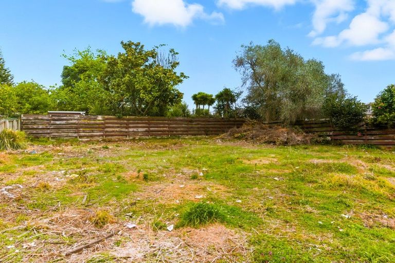 Photo of property in 8 Montgomery Street, Levin, 5510