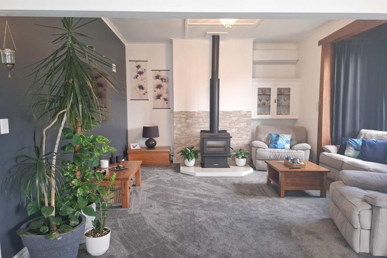 Photo of property in 17 Halton Street, East Gore, Gore, 9710