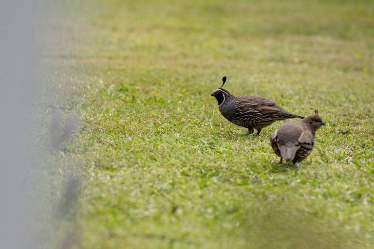 Photo of property in 398 Hallett Road, Otakiri, Whakatane, 3192