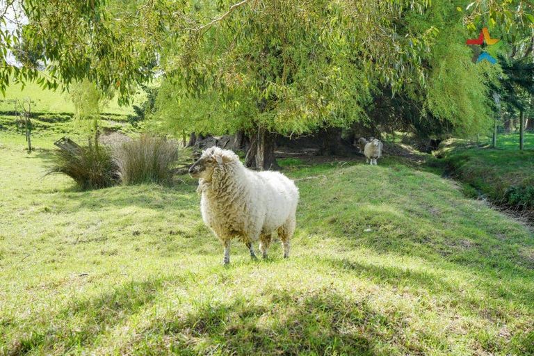 Photo of property in 72 Bush Street, Lumsden, 9730