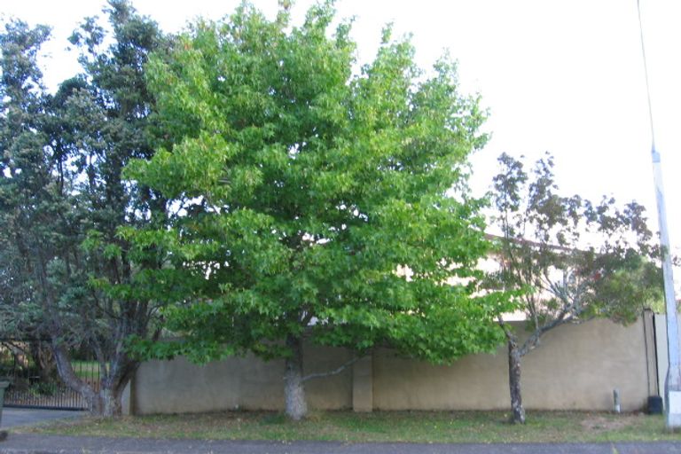 Photo of property in 8 Puawai Place, Northcote, Auckland, 0627