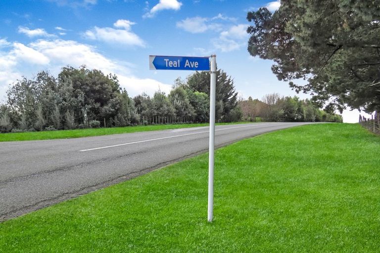 Photo of property in 17c Teal Avenue, Feilding, 4775