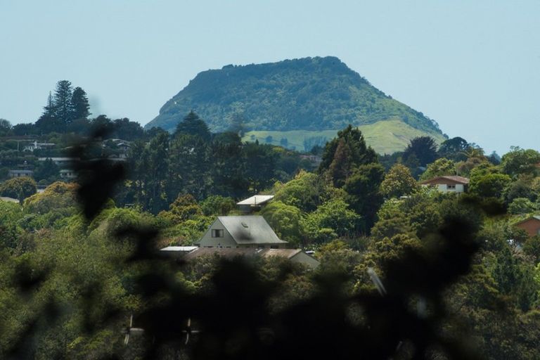 Photo of property in 185 Cambridge Road, Bethlehem, Tauranga, 3110