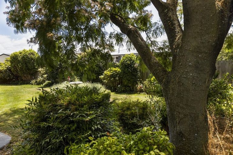 Photo of property in 184 Redwood Street, Witherlea, Blenheim, 7201
