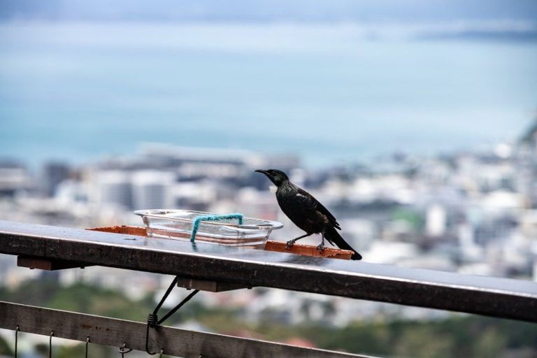 Photo of property in 149a Karepa Street, Brooklyn, Wellington, 6021