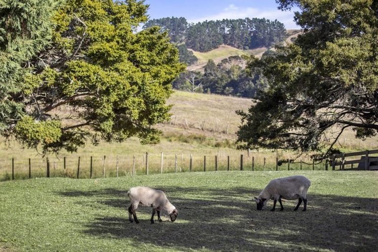 Photo of property in 237 Stoney Creek Road, Kaukapakapa, 0873