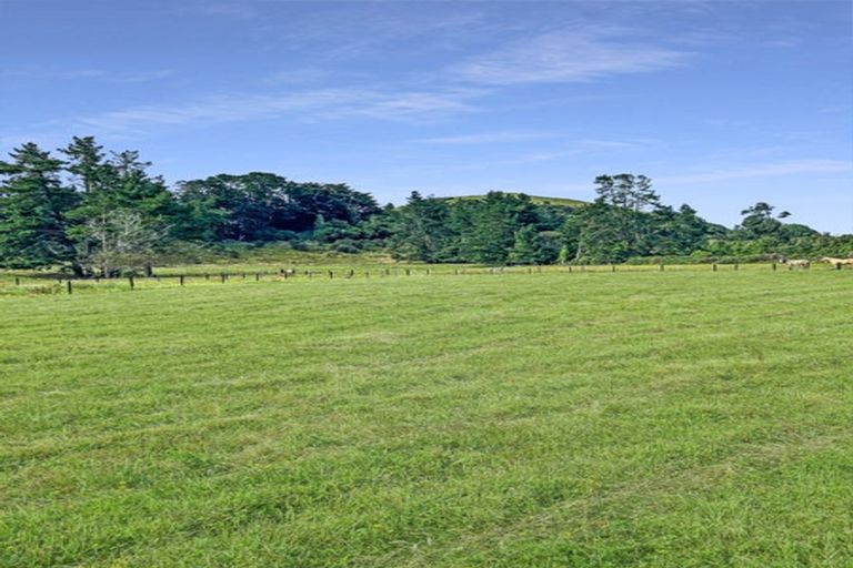 Photo of property in 808 Pahiatua Pongaroa Road, Pahiatua, 4982