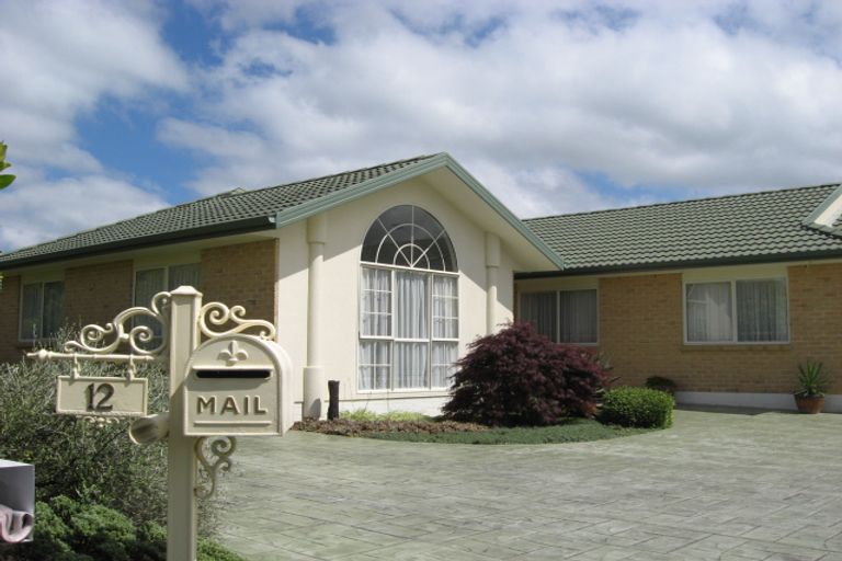 Photo of property in 12 Dan Bryant Place, Pukekohe, 2120