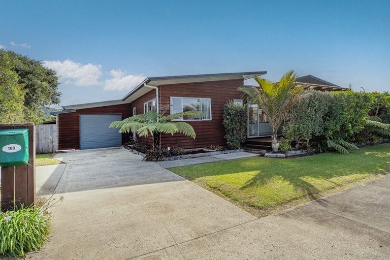 Photo of property in 103 Anarake Street, Whangapoua, Coromandel, 3582