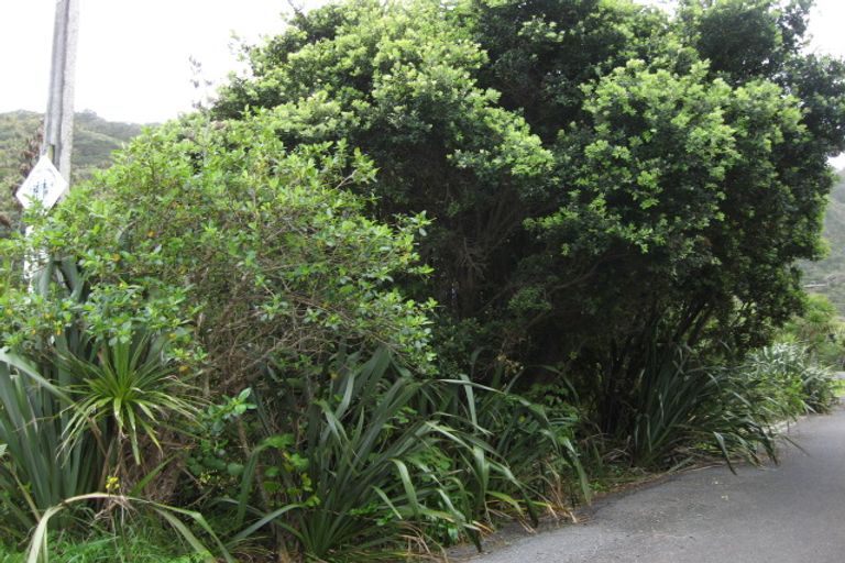 Photo of property in 124 Garden Road, Piha, 0772