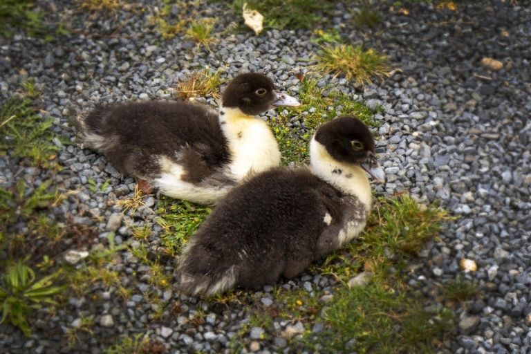 Photo of property in 145a Pinehaven Road, Pinehaven, Upper Hutt, 5019