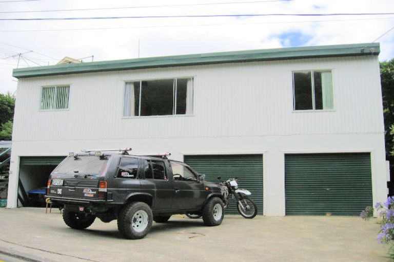 Photo of property in 33 Mana Street, Vogeltown, Wellington, 6021