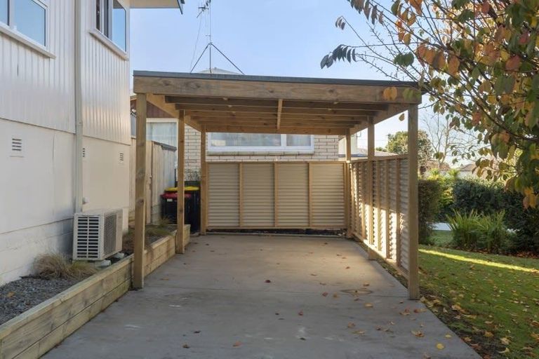 Photo of property in 15a Glenfield Place, Brookfield, Tauranga, 3110