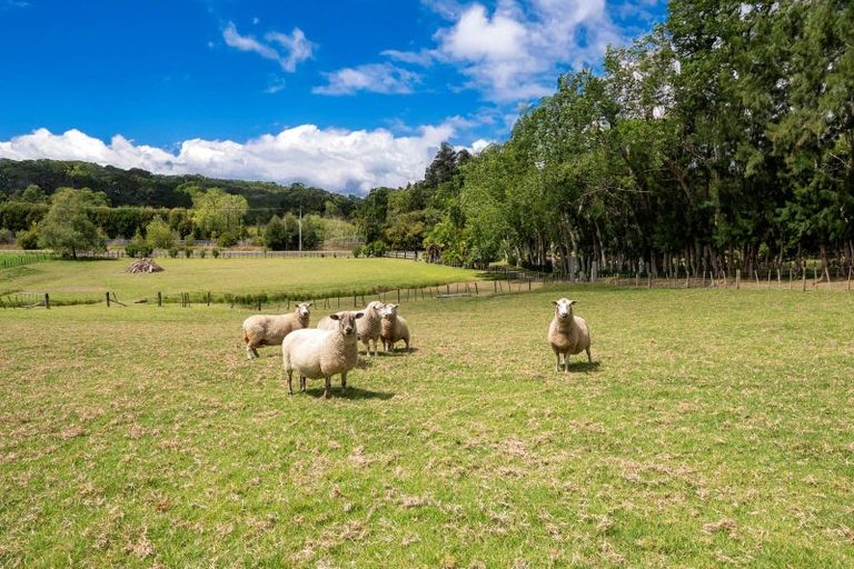 Photo of property in 30 Foster Road, Kumeu, 0891