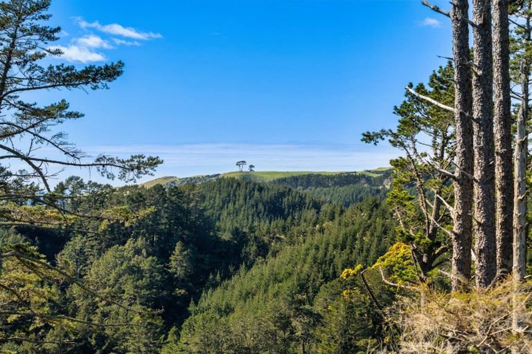 Photo of property in 225 Rocky Cutting Road, Waitao, Tauranga, 3175