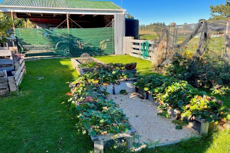 Photo of property in 64 Waihao Back Road, Waimate, 7979