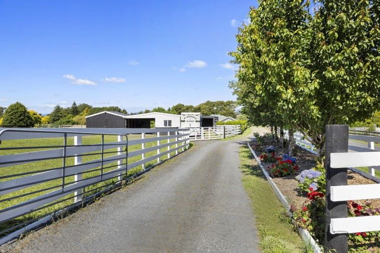 Photo of property in 986 Bond Road, Te Awamutu, 3879