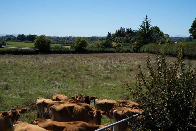 Photo of property in 10 Woolrich Road, Te Kowhai, Hamilton, 3288