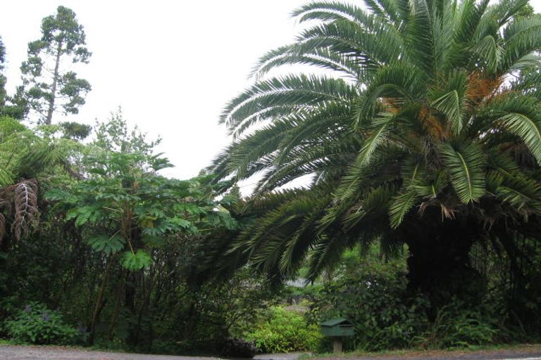 Photo of property in 41 Takahe Road, Titirangi, Auckland, 0604