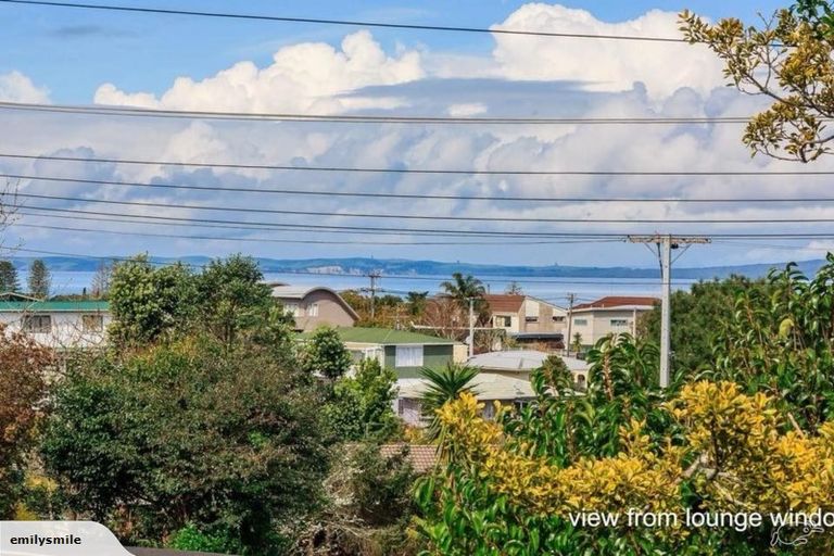 Photo of property in 173 Stredwick Drive, Torbay, Auckland, 0630