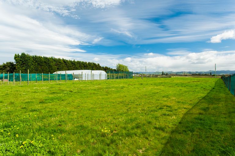 Photo of property in 638 Nelson Road, Makauri, Gisborne, 4071